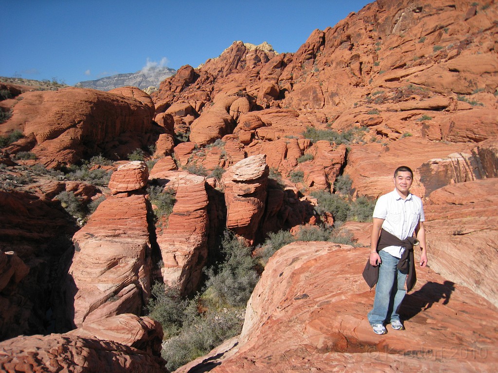 Las Vegas 2010 - Red Rock 0531.JPG - The 2010 Las Vegas Fire - Ice and Sweat Tour. Half Marathon, Red Rock Canyon, Casinos, Valley of Fire.... and buffets!